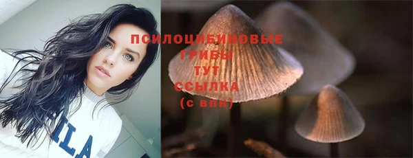 МДМА Осинники