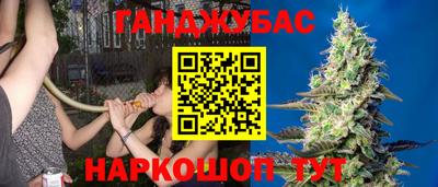 мдпв Абакан