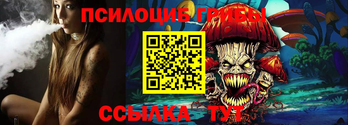 Псилоцибиновые грибы мухоморы  Апатиты 