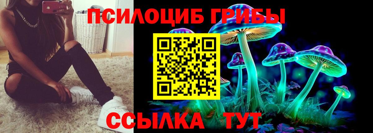 Апатиты  Галлюциногенные грибы Cubensis  Вход с VPN  Галлюциногенные грибы прущие грибы 