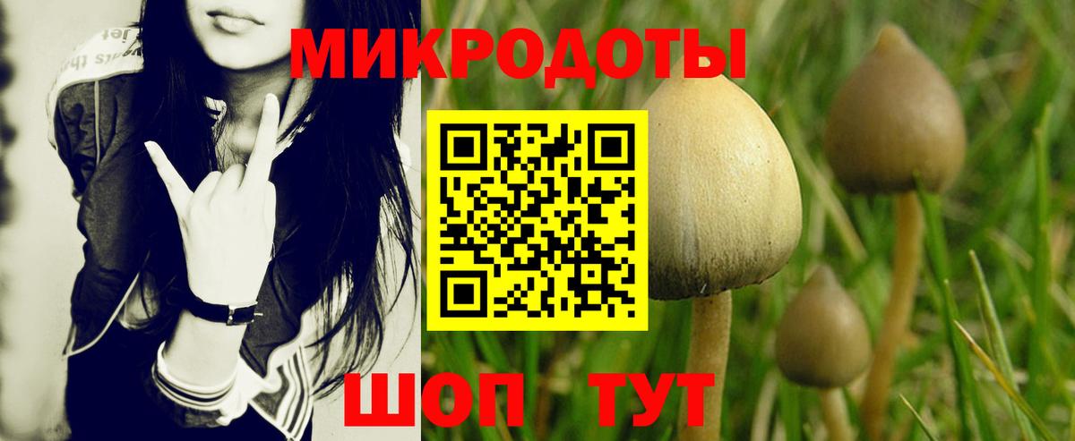 Галлюциногенные грибы ЛСД Апатиты